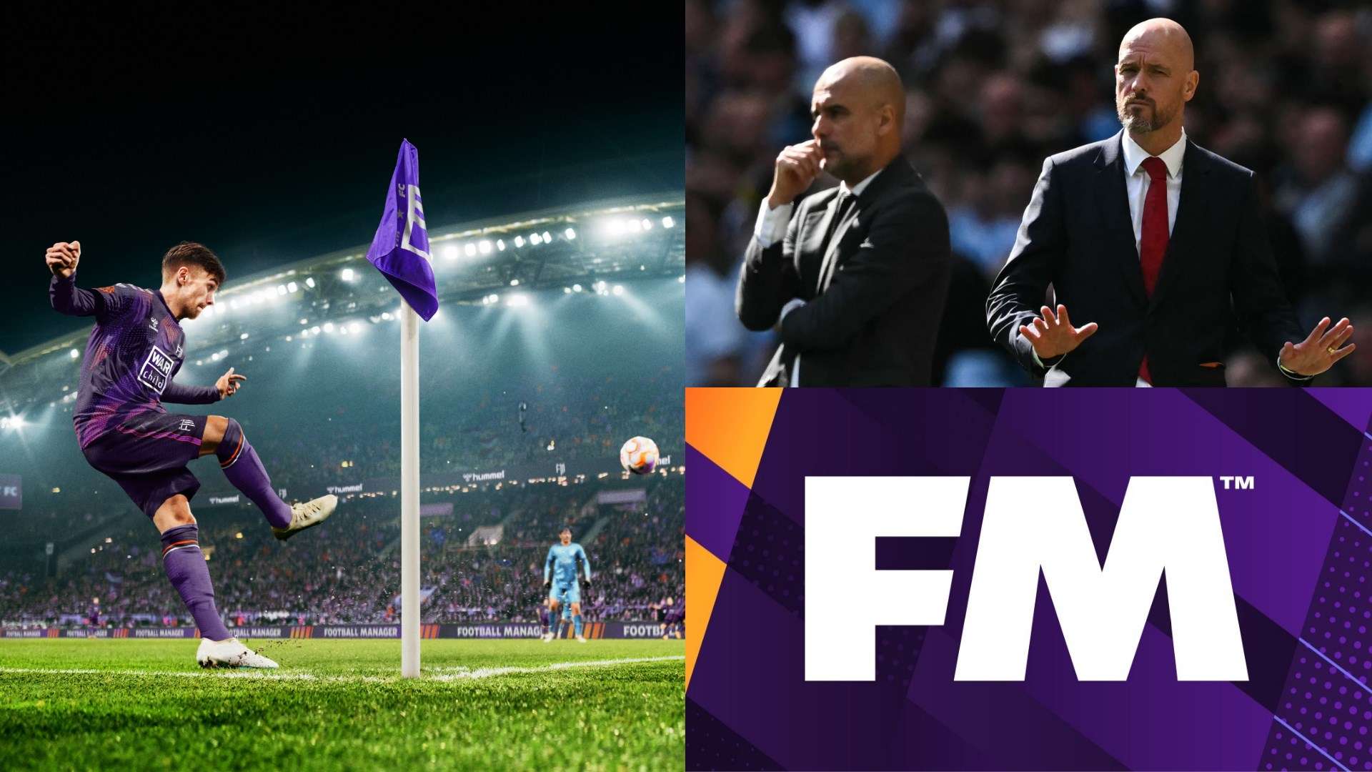 选择在最可 选择在最可